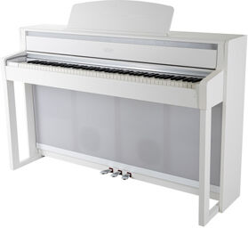 UP 405 White