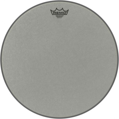 RA-0016-ss Renaissance Ambassador 16