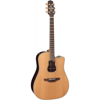 Japon Signature Garth Brooks Dreadnought Electro