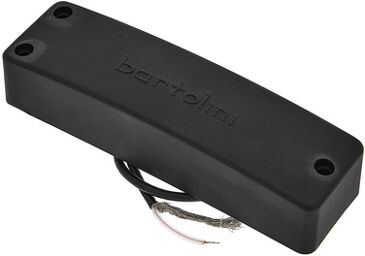 5-String RT Soapbar Bass Neck