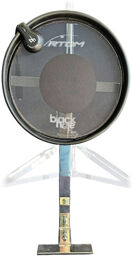 Black Hole Kick System