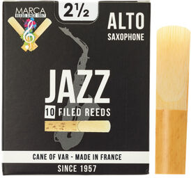 Jazz filed Alto Saxophone 2.5