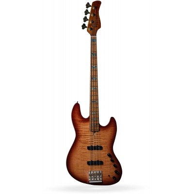 V10 Dx Swamp Ash-4 Ts Mn + Étui - Reconditionné
