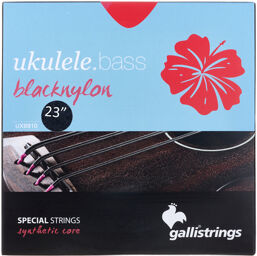 UXB810-23'' Ukulele Bass Str.