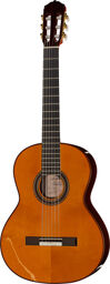 Fnegra DV Spruce Flamenco Naturel