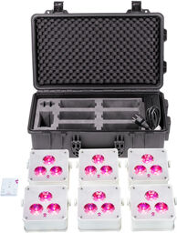 ApeLight maxi V2 TB 6 creme Anthracite