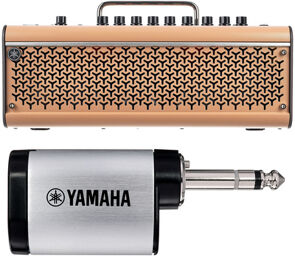 THR30IIA Wireless Bundle