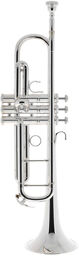 YTR-9335CHS-BR Trumpet