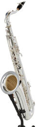 Signature Tenor Sax SE-TSIS