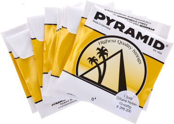 10 String Classical Guitar Set