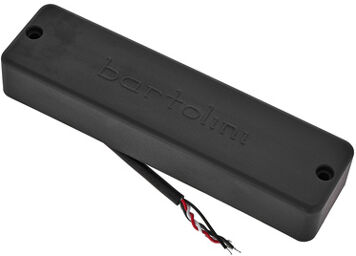 6-Str P4 Soapbar Neck BK Black