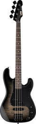 LTD Surveyor-204DX BB Black Burst