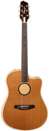 AEG 1 E- Acoustic E Natural Naturel
