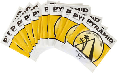 492/15 Schrammelgitarre Nylon