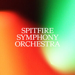 Symphony Orchestra 2024