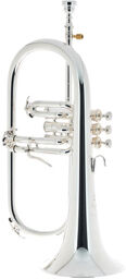 YFH-8310 ZS 02 Flugelhorn