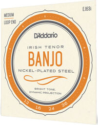EJ63i Irish Tenor Banjo Set