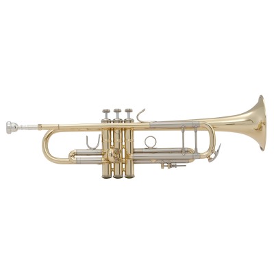LR180-37 Stradivarius - Sib Vernie