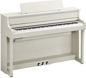 CLP-875 WB Bouleau blanc