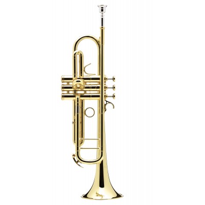 Confluence Sib Vernie - AC335BML-1-0