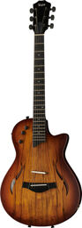 T5z Classic Sassafras Shaded Edge Burst
