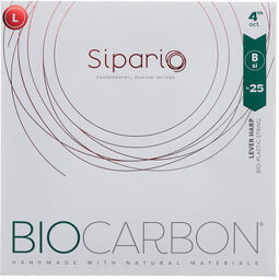 BioCarbon Str. 4th Oct. SI/B