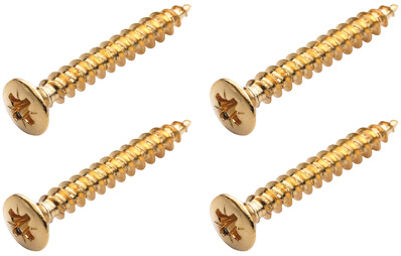 Screws Bolt-On Necks/Gurt Gold
