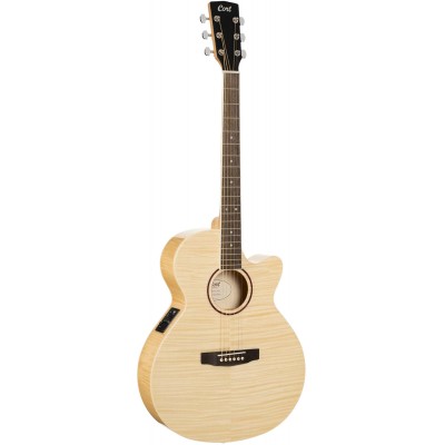 Sfx Erable Flamme Brillant