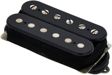 DP 254BK Transition Neck black Noir