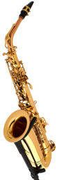 Academia Alto Sax A-920L-II