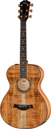 Custom #40: C22e 12-Fret B5040 Naturel