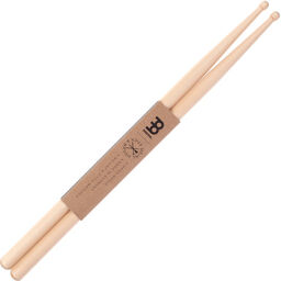 SD2 Concert Maple