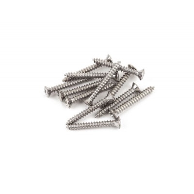 Bass/Tele Bridge/strap Button Mounting Screws, Phillips-Head, Chrome, (12)