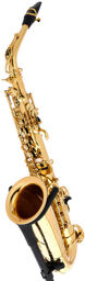 SE-A2L Goldlac SA80 II AltoSax