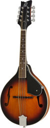 RMA31-WSB Whiskey Sunburst matte