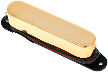 Area T Neck DP 417 Gold
