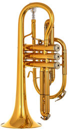 3142/2-GL Brochon Bb-Cornet
