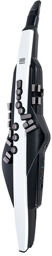 Aerophone AE-20