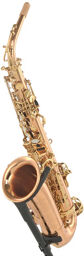 RX Red Brass GL Alto Sax
