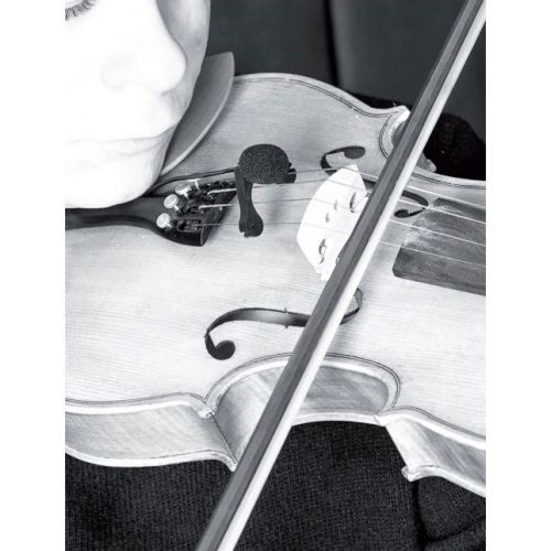 VL21C Lanen Violon - Alto