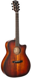 Core GA Blackwood OPLB Light Burst