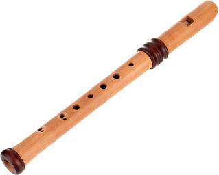 4119 Adris Dream Recorder