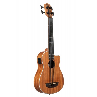 U-Bass Scout