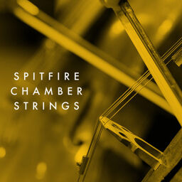 Chamber Strings