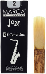 Jazz Filed Tenor Saxophone 2.0