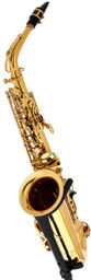 JAS700Q-SCS Alto Sax