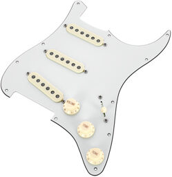 67 Q.Coil Hot Br. Pickguard PA
