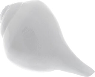 Synthetic Shell high C Blanc