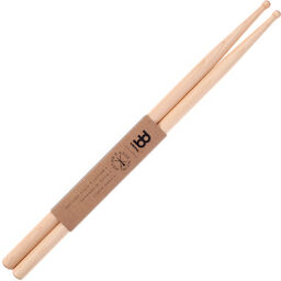 SD1 Concert Maple