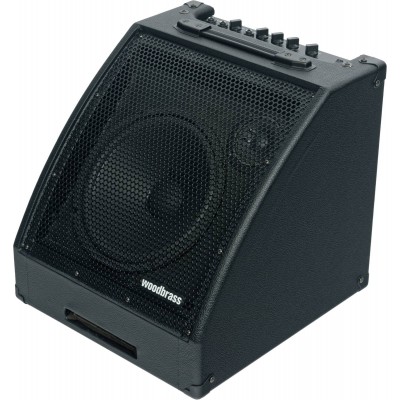 D30BT 30W
